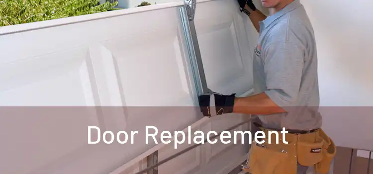  Door Replacement 